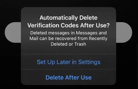 Automatically delete two-factor verification codes iOS 17